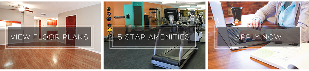 5 Star Amenities
